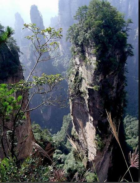 長沙出發(fā)到張家界溶洞奇觀黃龍洞、國家森林公園、袁家界、峰林之王天子山三日游（早班）