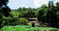 長沙出發(fā)到花明樓、韶山、張家界國家森林公園、天門仙山國家森林公園四日游