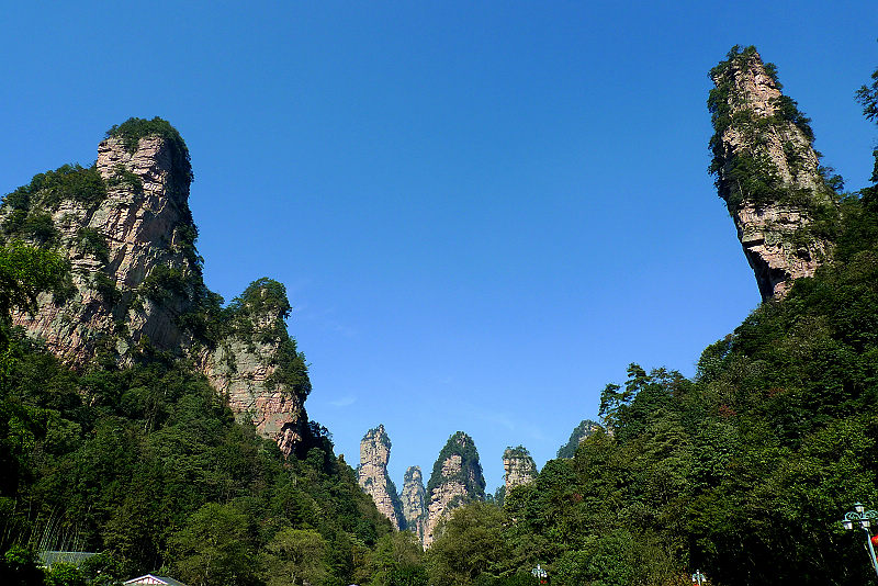 張家界國家森林公園、黃龍洞、天門山、鳳凰古城純玩五日游